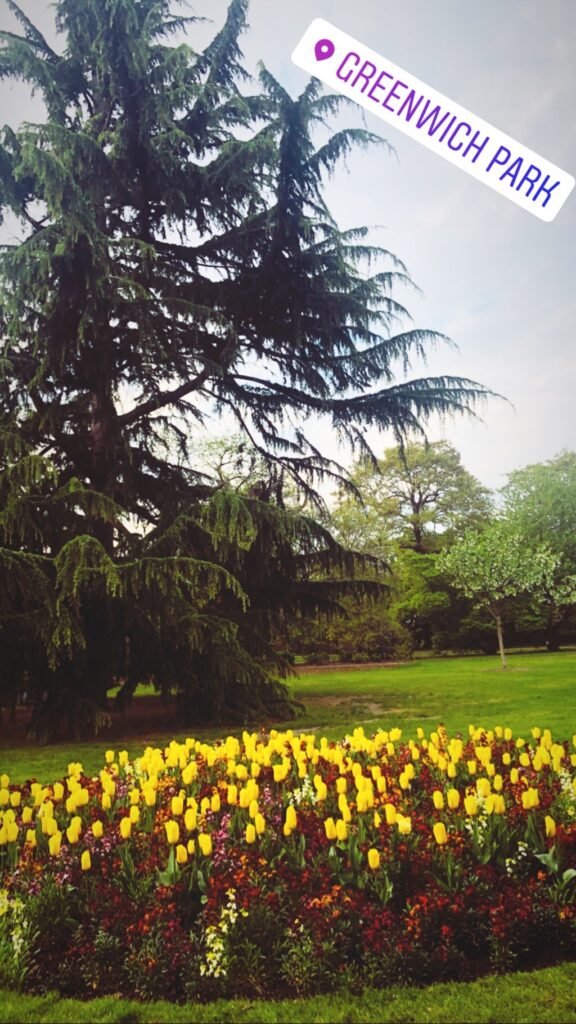 London Greenwich park